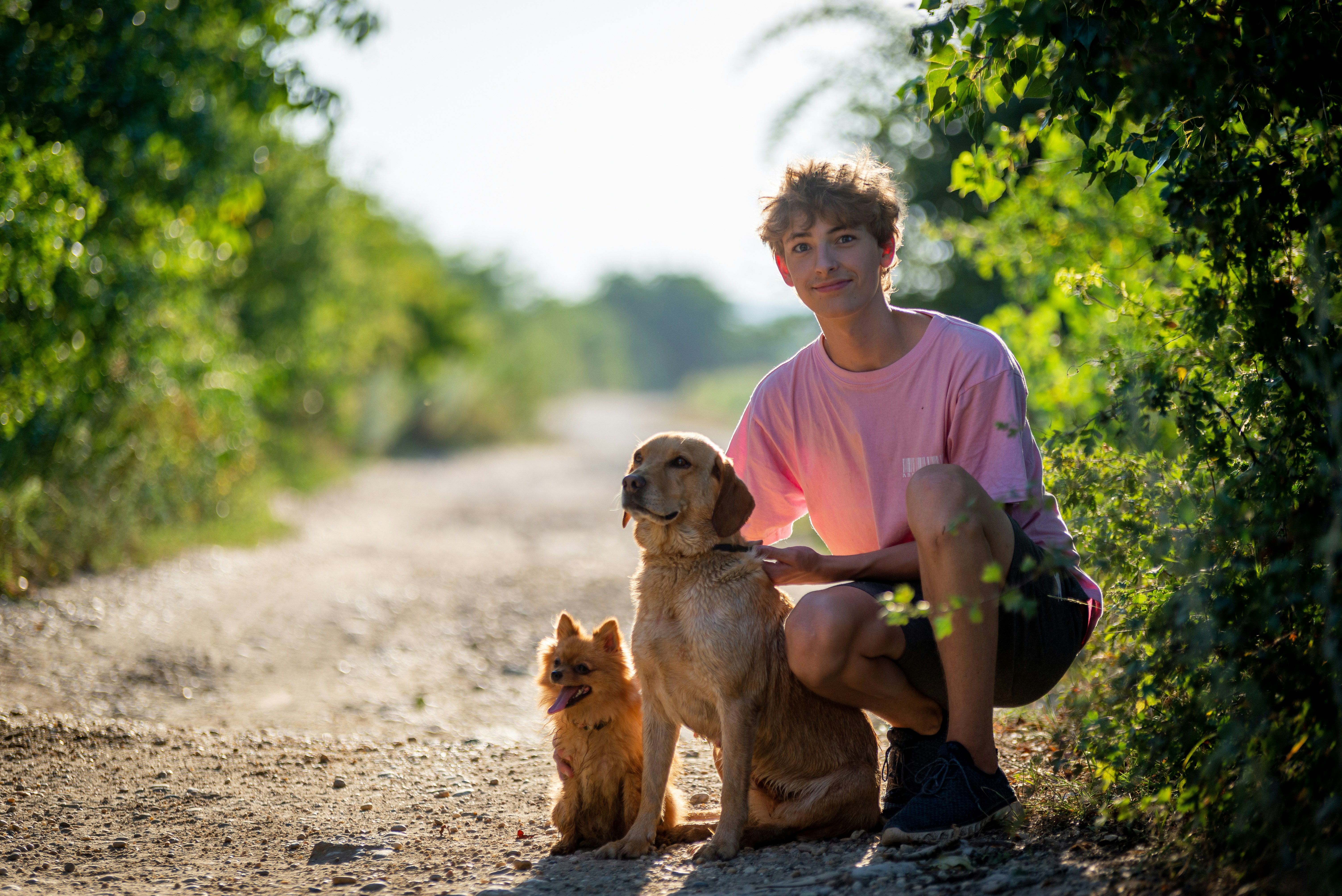今日精选视频封面 3