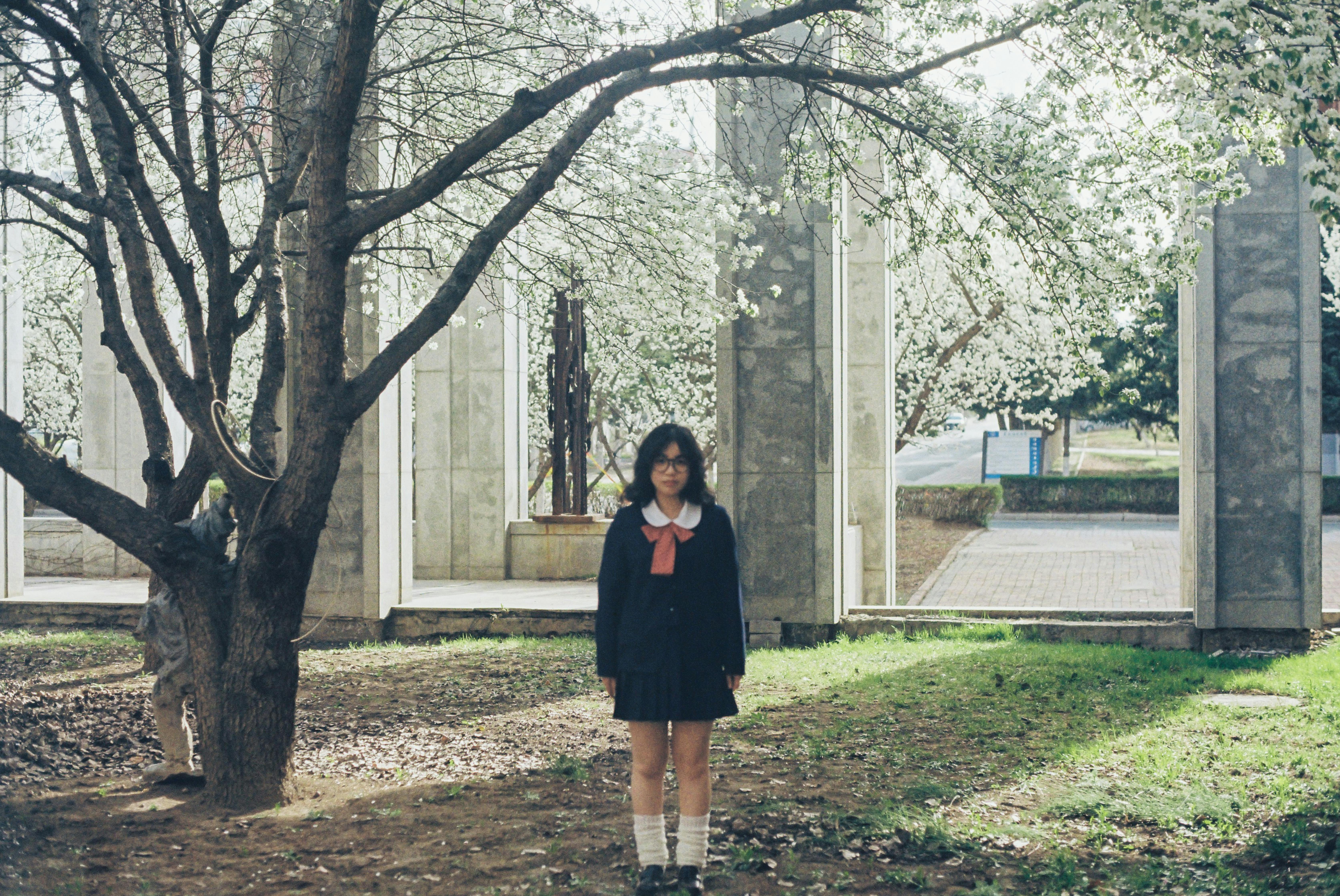 zheng liang 讨论热度图片